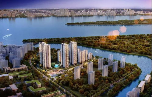 珠海华发新城第六期地址 位置 交通 周边设施 珠海楼盘网