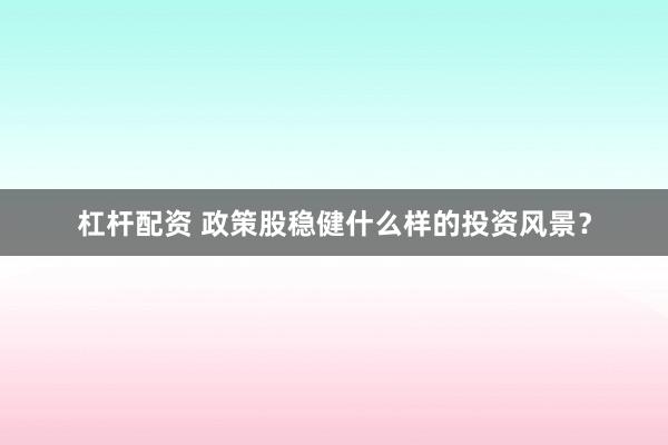 杠杆配资 政策股稳健什么样的投资风景？